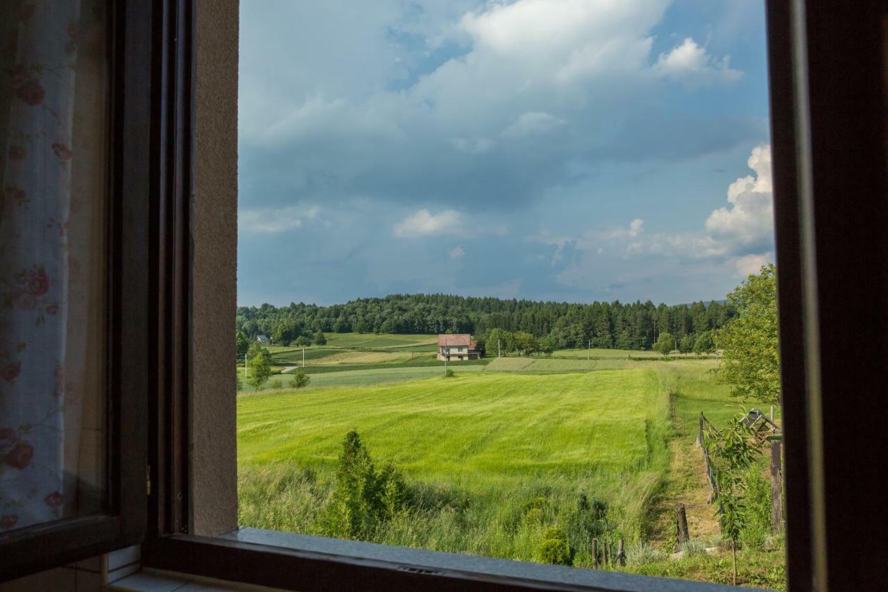 Apartment Zora - Guest House Огулин Екстериор снимка