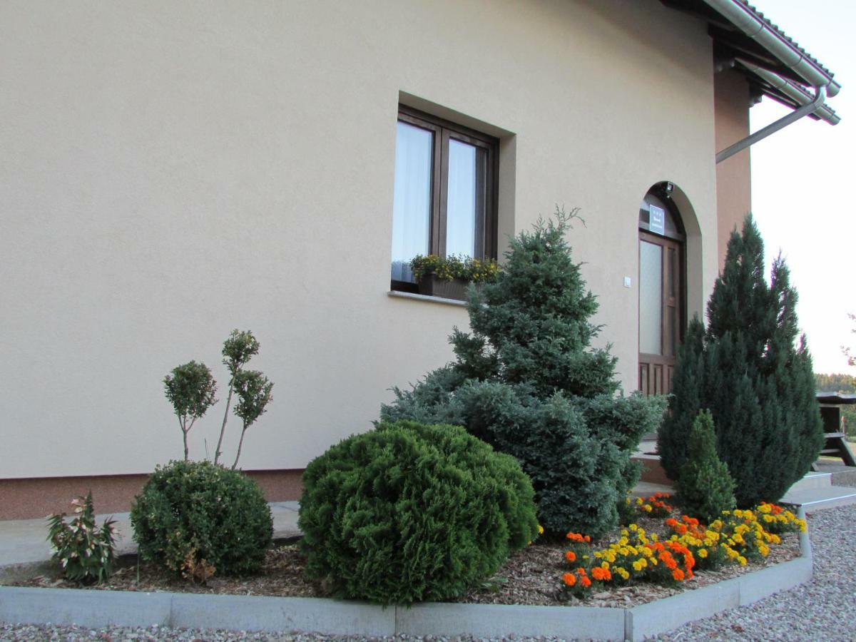 Apartment Zora - Guest House Огулин Екстериор снимка