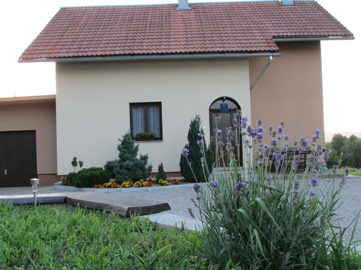 Apartment Zora - Guest House Огулин Екстериор снимка