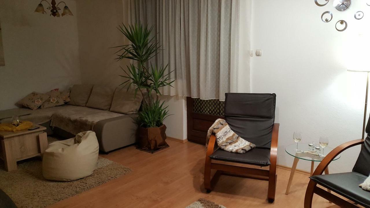 Apartment Zora - Guest House Огулин Екстериор снимка