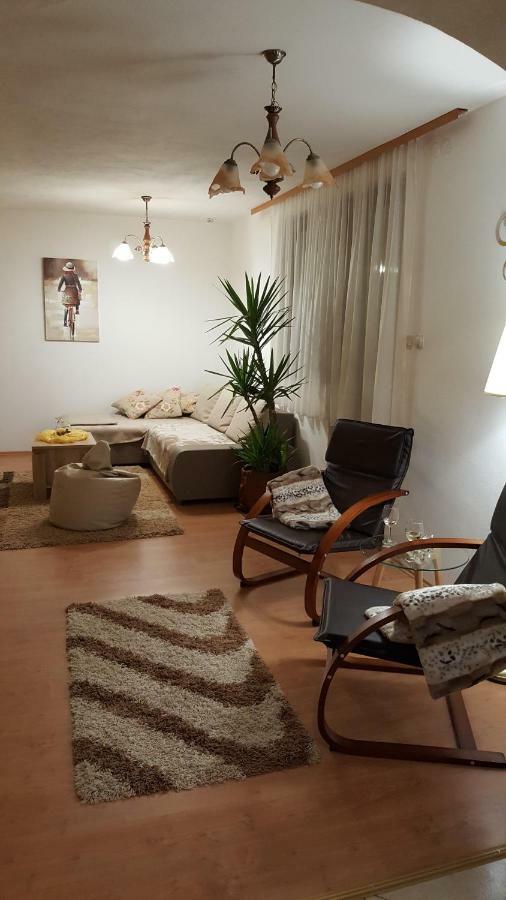 Apartment Zora - Guest House Огулин Екстериор снимка