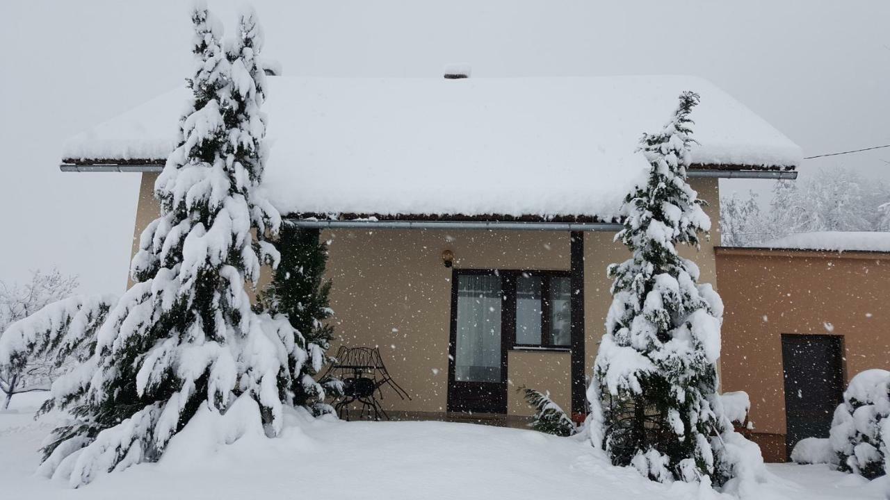 Apartment Zora - Guest House Огулин Екстериор снимка